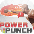 Punch Power Measure